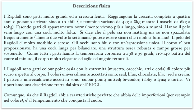 Descrizione fisica
I Ragdoll sono gatti molto grandi ed a crescita lenta.  Raggiungono la crescita completa a quattro anni e possono arrivare sino a 10 chili (le femmine variano da 4kg a 8kg mentre i maschi da 6kg a 10kg). Essendo gatti di appartamento normalmente vivono più a lungo, sino a 15 anni. Hanno il pelo semi-lungo con una coda molto folta.  Si dice che il pelo sia non-matting ma se non spazzolato frequentemente (almeno due volte la settimana) potete essere sicuri che i nodi si formano!  Il pelo del Ragdoll e’ molto morbido e setoso. Gli occhi sono blu e con un’espressione unica. Il corpo e’ ben proporzionato, ha una coda lunga per bilanciare, una struttura ossea robusta e zampe grosse per sostenerlo.  Come tutti i gatti hanno la temperatura corporea tra 38 e 39 gradi, 110-140 battiti del cuore al minuto, il corpo molto elegante ed agile ed unghie retrattili.
I Ragdoll sono gatti colour-point ossia con le estremità (musetto, orecchie, arti e coda) di colore più scuro rispetto al corpo. I colori universalmente accettati sono: seal, blue, chocolate, lilac, red e cream.  I patterns universalmente accettati sono: colour point; mitted; bi-coulor; tabby o lynx; e tortie.  Vi riportiamo una descrizione tratta dal sito dell’ RFCI.  
Comunque, sia che il Ragdoll abbia caratteristiche perfette che abbia delle imperfezioni (per esempio nel colore), e’ il temperamento che conquista il cuore.
nel colore), e’ il temperamento che conquista il cuore.