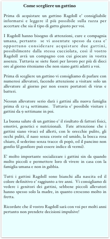 Come scegliere un gattino
Prima di acquistare un gattino Ragdoll e’ consigliabile informarsi e leggere il più possibile sulla razza per accertare che sia il tipo di gatto giusto per voi.  
I Ragdoll hanno bisogno di attenzioni, cure e compagnia umana, pertanto  se vi assentate spesso da casa e’ opportuno considerare acquistare due gattini, possibilmente dalla stessa cucciolata, così il vostro Ragdoll avrà un compagno con cui giocare in vostra assenza. Tuttavia se siete fuori per lavoro per più di dieci ore al giorno riteniamo che non siano gatti adatti a voi.  
Prima di scegliere un gattino vi consigliamo di parlare con numerosi allevatori, facendo attenzione a visitare solo un allevatore al giorno per non essere portatori di virus e batteri.
Nessun allevatore serio darà i gattini alla nuova famiglia prima di 12-14 settimane.  Tuttavia e’ possibile visitare i gattini da 9 settimane in poi.
La buona salute di un gattino e’ il risultato di fattori fisici, emotivi, genetici e nutrizionali.  Fate attenzione che i gattini siano vivaci ed allerti, con le orecchie pulite, gli occhi puliti, il naso senza croste ed umido, la bocca rosa chiaro, il sederino senza tracce di popò, ed il pancino non gonfio (il gonfiore può essere indice di vermi). 
E’ molto importante socializzare i gattini sin da quando molto piccoli e permettere loro di vivere in casa con la famiglia umana e non in gabbia. 
Tutti i gattini Ragdoll sono bianchi alla nascita ed il colore definitivo e’ raggiunto a tre anni.  Vi consigliamo di vedere i genitori dei gattini, sebbene piccoli allevatori hanno spesso solo la madre, in quanto crescono molto in fretta.
Ricordate che il vostro Ragdoll sarà con voi per molti anni pertanto non prendete decisioni impulsive!
