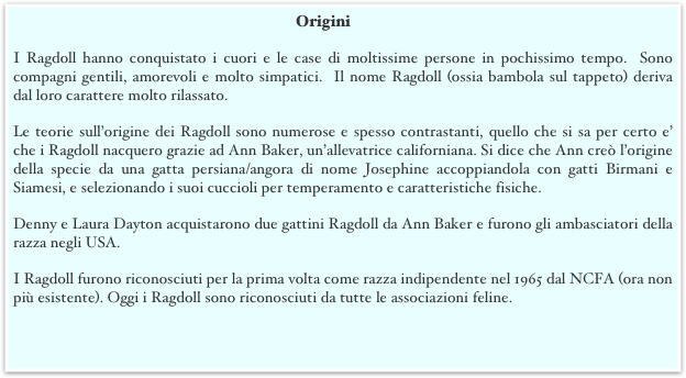 Origini
I Ragdoll hanno conquistato i cuori e le case di moltissime persone in pochissimo tempo.  Sono compagni gentili, amorevoli e molto simpatici.  Il nome Ragdoll (ossia bambola sul tappeto) deriva dal loro carattere molto rilassato.  
Le teorie sull’origine dei Ragdoll sono numerose e spesso contrastanti, quello che si sa per certo e’ che i Ragdoll nacquero grazie ad Ann Baker, un’allevatrice californiana. Si dice che Ann creò l’origine della specie da una gatta persiana/angora di nome Josephine accoppiandola con gatti Birmani e Siamesi, e selezionando i suoi cuccioli per temperamento e caratteristiche fisiche.
Denny e Laura Dayton acquistarono due gattini Ragdoll da Ann Baker e furono gli ambasciatori della razza negli USA. 
I Ragdoll furono riconosciuti per la prima volta come razza indipendente nel 1965 dal NCFA (ora non più esistente). Oggi i Ragdoll sono riconosciuti da tutte le associazioni feline.
